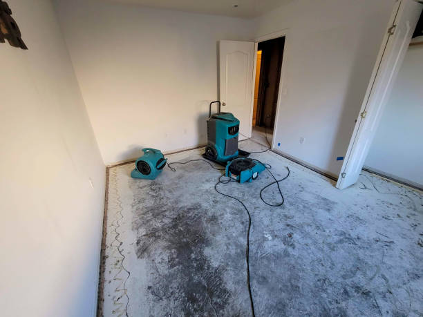 Best Water damage contractors near me  in Essex, IL
