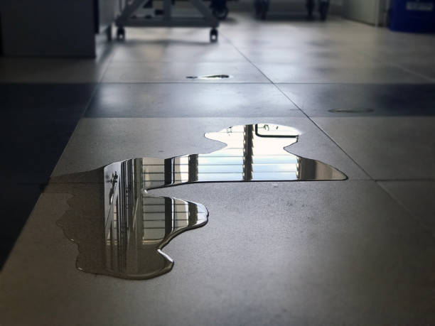Water damage restoration experts in IL