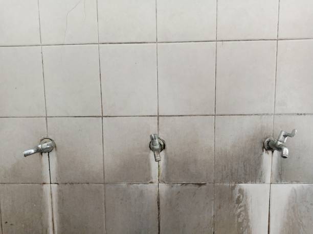 Best Carpet water damage restoration  in Essex, IL