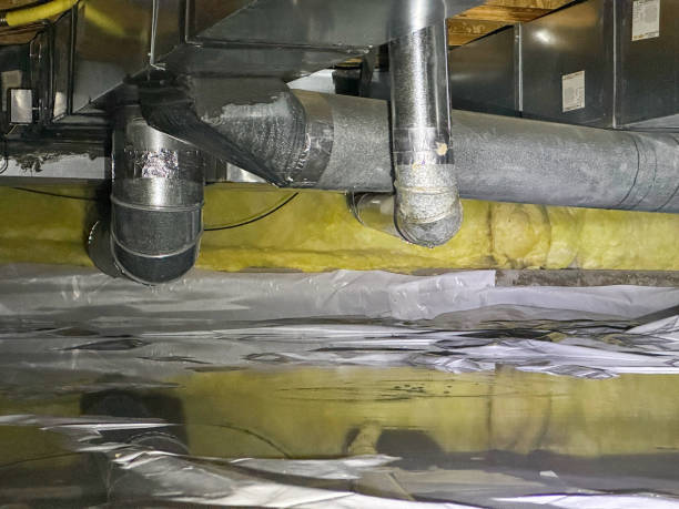 Best Sewage cleanup and water damage restoration  in Essex, IL