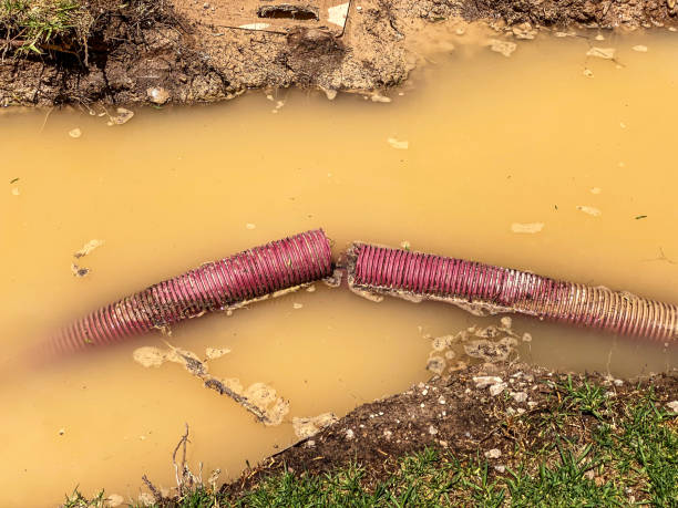 Best Water damage restoration specialists  in Essex, IL